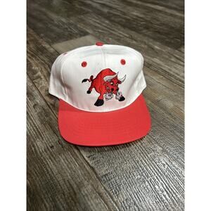 RARE Vintage Tuscon Toros Minor League Baseball Snapback Hat Made in USA MINT